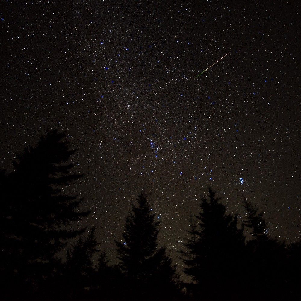 Perseid meteors crossing the night sky